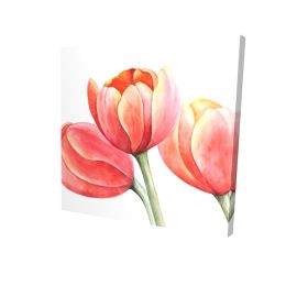 Three tulips closeup - 32x32 Print on canvas