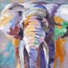 Elephant in pastel color - 08x08 Print on canvas