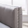 Modern Velvet Armchair Tufted Button Accent Chair Club Chair with Steel Legs for Living Room Bedroom; Grey