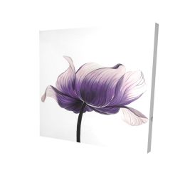 Purple anemone flower - 12x12 Print on canvas