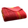 CHIEFS OFFICIAL NFL "Digitize" Raschel Throw Blanket;  60" x 80"