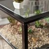 Terrarium Display End Table