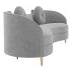 Modern multi-seat curved velvet sofa-light gray-with pillow-velvet