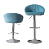 Zen Zone Modern Adjustable Counter Height Bar Stools/Dining Chairs With Back and Footrest; Blue Flannelette; Set of 2